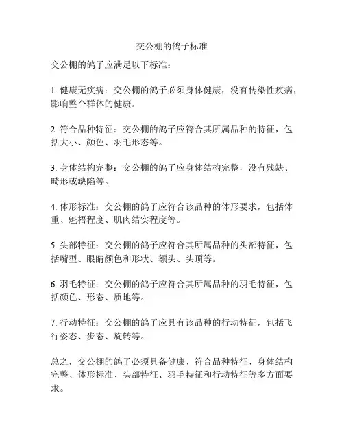 交公棚的鸽子标准