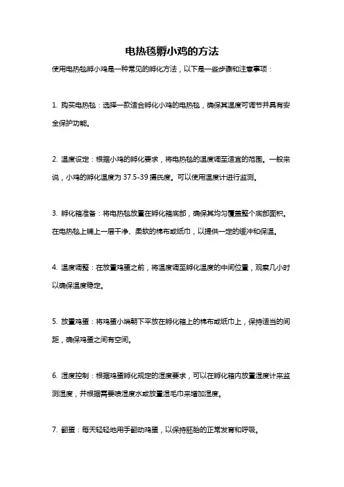 电热毯孵小鸡的方法