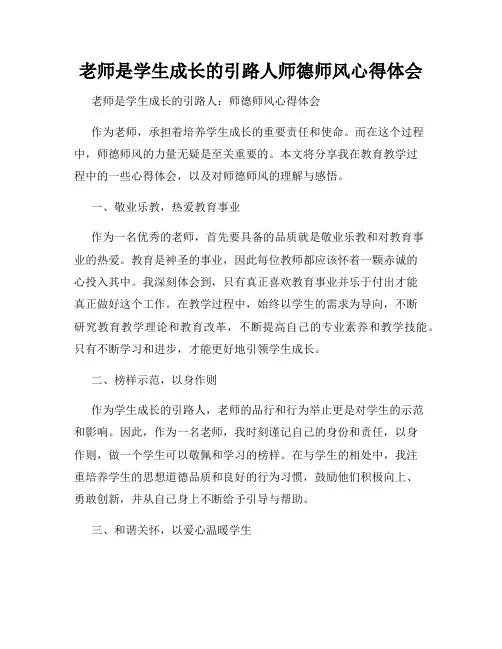 老师是学生成长的引路人师德师风心得体会