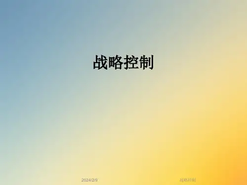 战略控制_精品文档