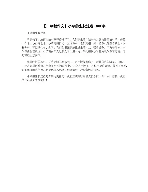 【二年级作文】小草的生长过程_300字
