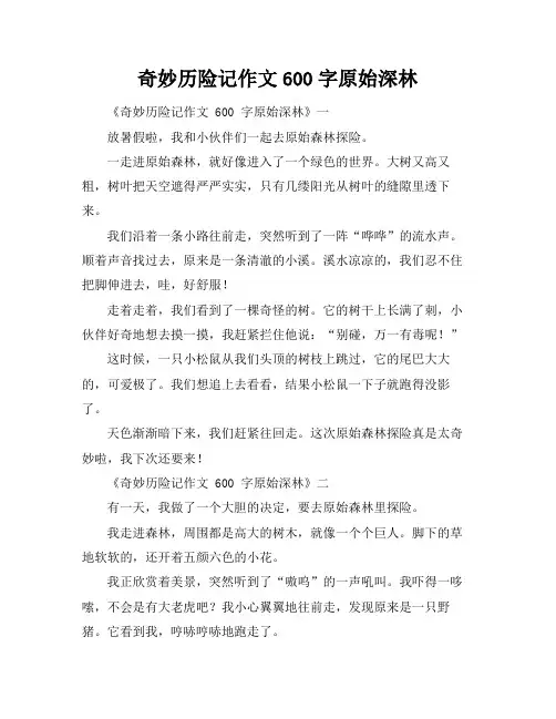 奇妙历险记作文600字原始深林