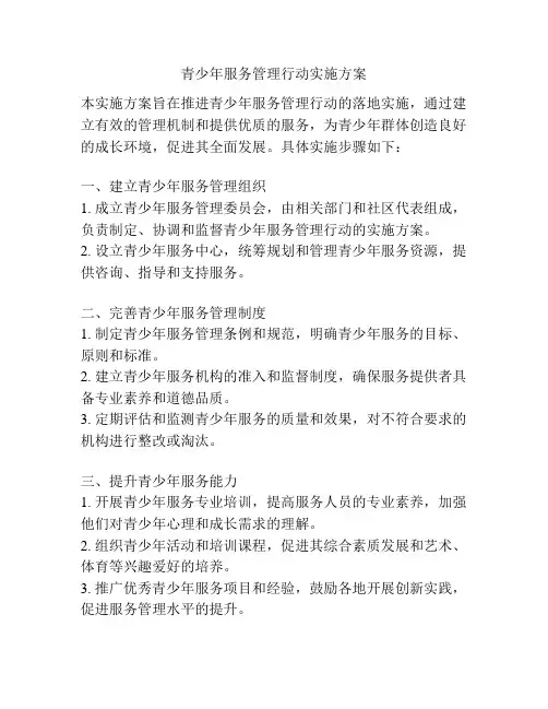 青少年服务管理行动实施方案