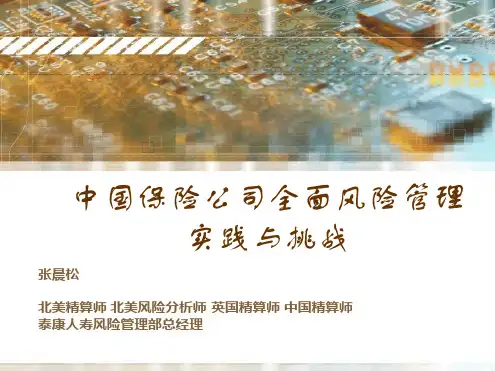 中国保险公司全面风险管理详解精讲