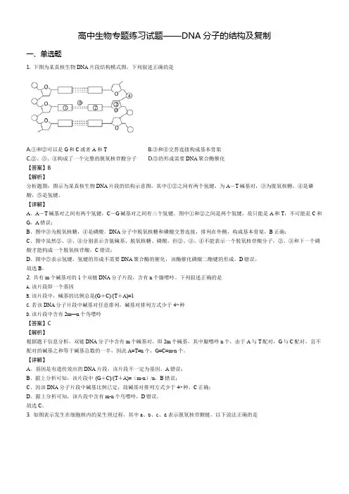 高中生物专题练习试题——DNA分子的结构及复制含答案解析