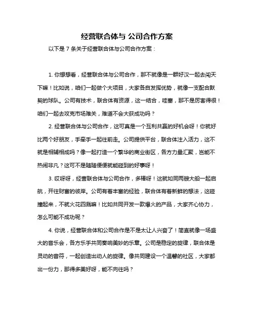 经营联合体与 公司合作方案