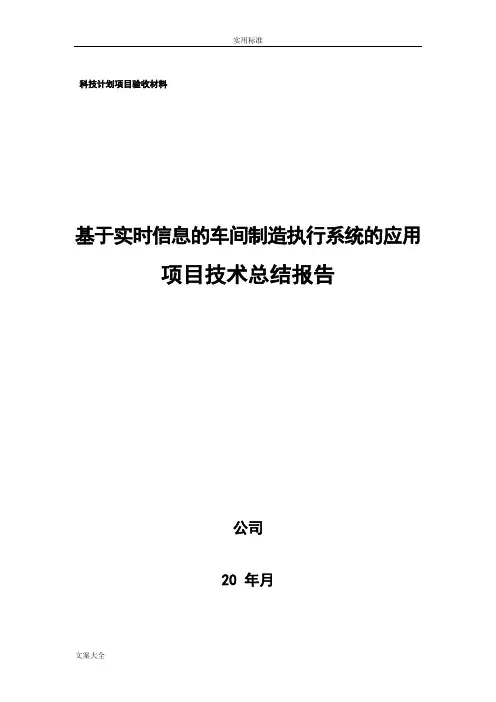 项目技术的总结报告材料