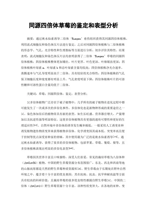 同源四倍体草莓的鉴定和表型分析