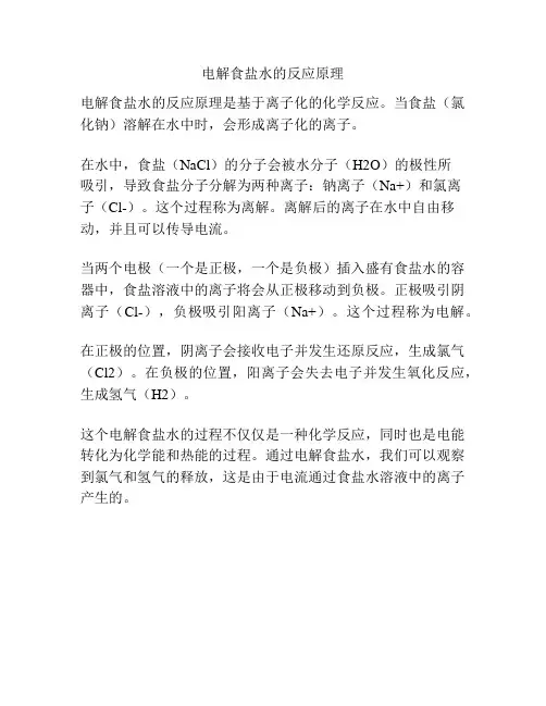 电解食盐水的反应原理