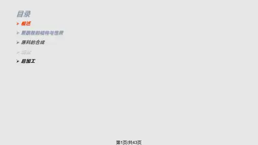 聚酰胺纤维PPT课件
