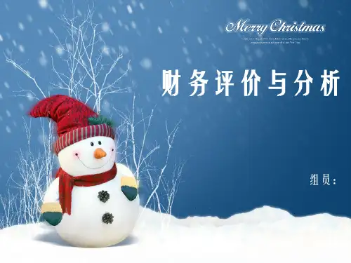 财务评价与分析 案例解析幻灯片PPT