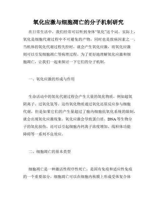 氧化应激与细胞凋亡的分子机制研究