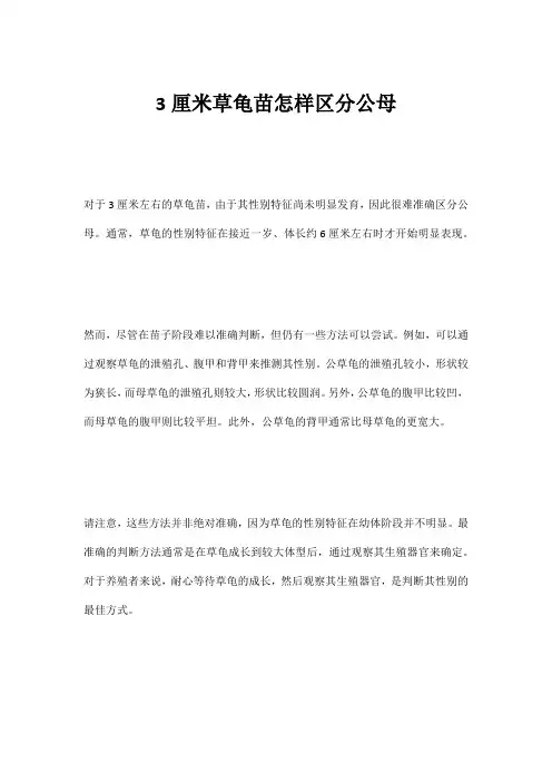 3厘米草龟苗怎样区分公母