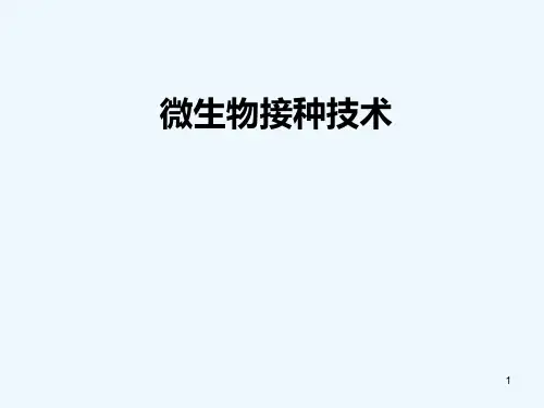微生物接种技术-PPT