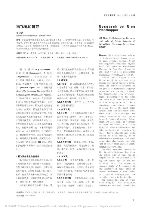 稻飞虱的研究