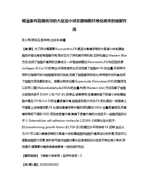 褐藻素对高糖诱导的大鼠肾小球系膜细胞纤维化病变的缓解作用