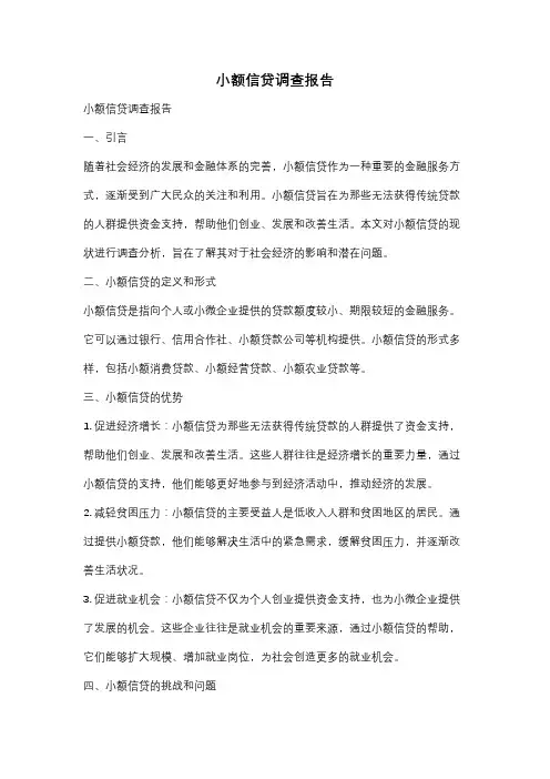小额信贷调查报告