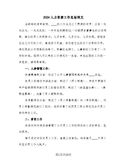 2024人力资源工作总结例文（5篇）