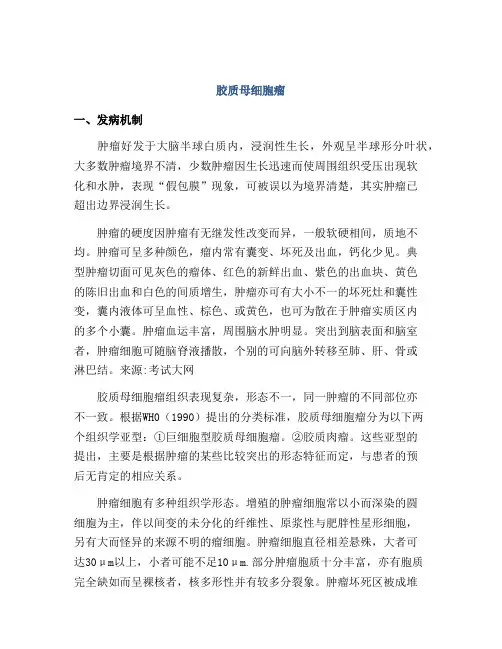 胶质母细胞瘤