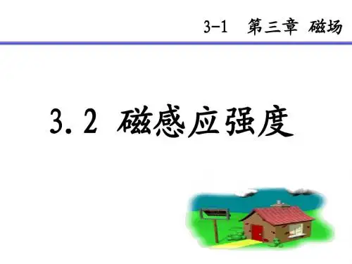选修3-1  3.2磁感应强度1