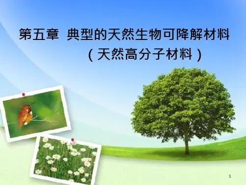 第五章-天然高分子材料-淀粉课件