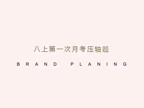 全等三角形综合-压轴题训练