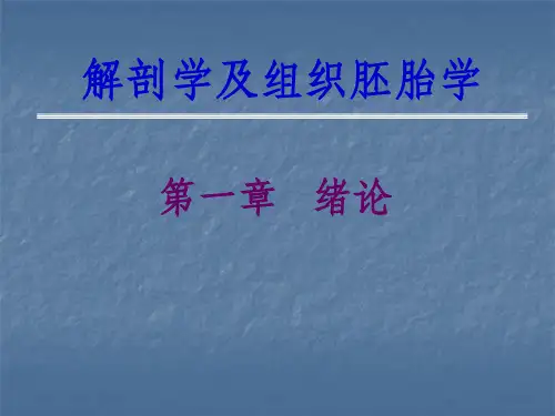解剖学及组织胚胎学绪论(1)