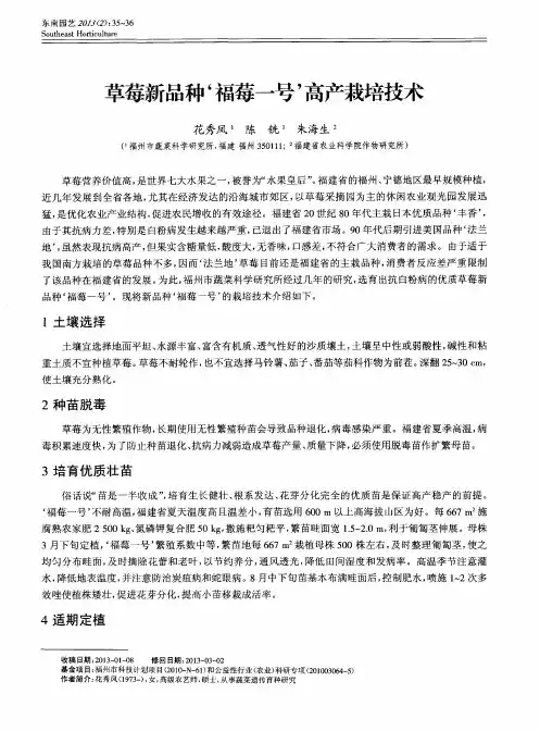 草莓新品种‘福莓一号’高产栽培技术