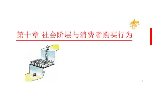 社会阶层与消费者购买行为(课堂PPT)