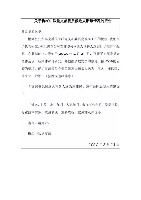 支委候选人酝酿情况的报告
