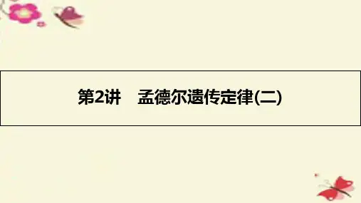 高考生物一轮复习 第六单元 遗传的基本规律 第2讲 孟德尔遗传定律（二）课件