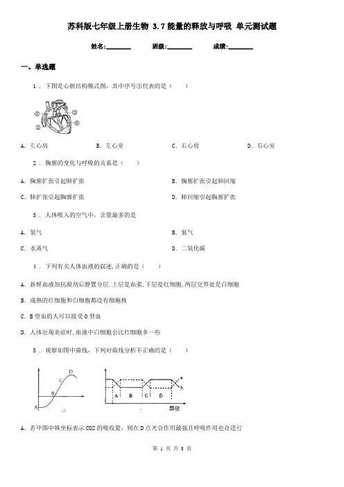 苏科版七年级上册生物 3.7能量的释放与呼吸 单元测试题
