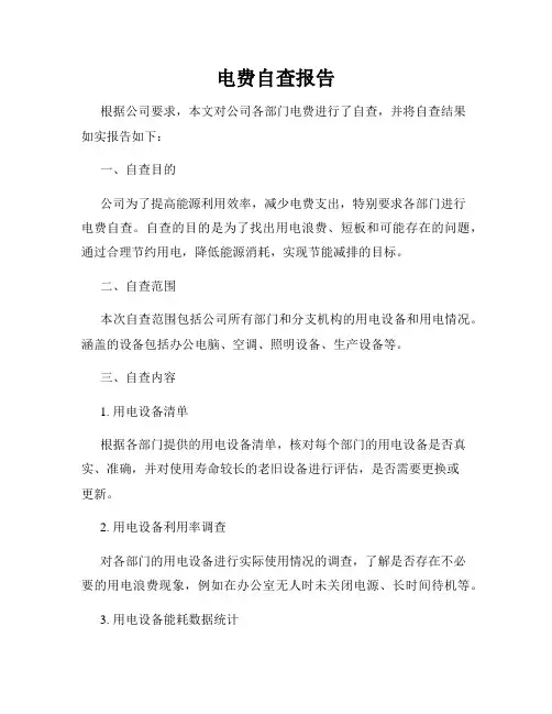 电费自查报告