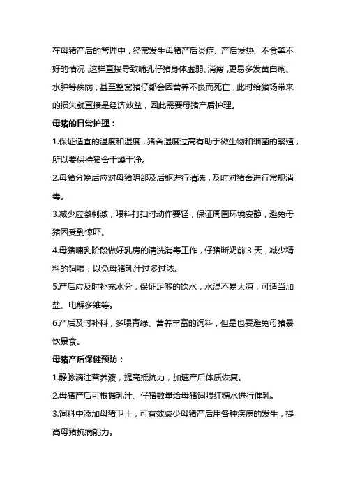母猪产后护理