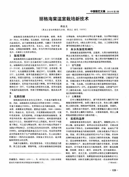丽格海棠温室栽培新技术