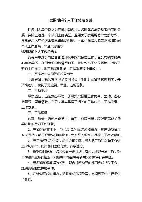 试用期间个人工作总结5篇