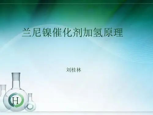 2014兰尼镍催化剂培训解析