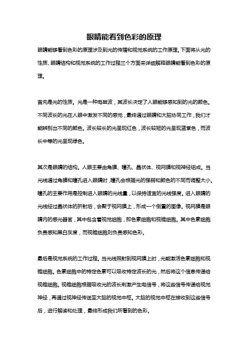 眼睛能看到色彩的原理