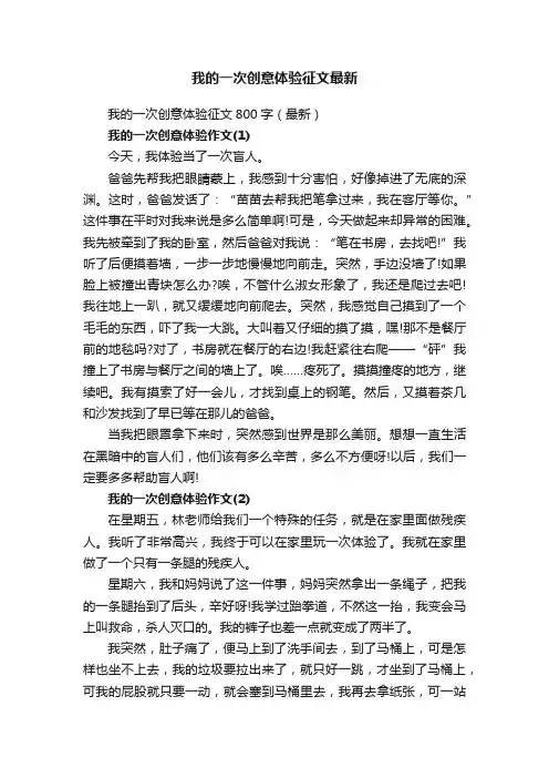 我的一次创意体验征文800字（最新）