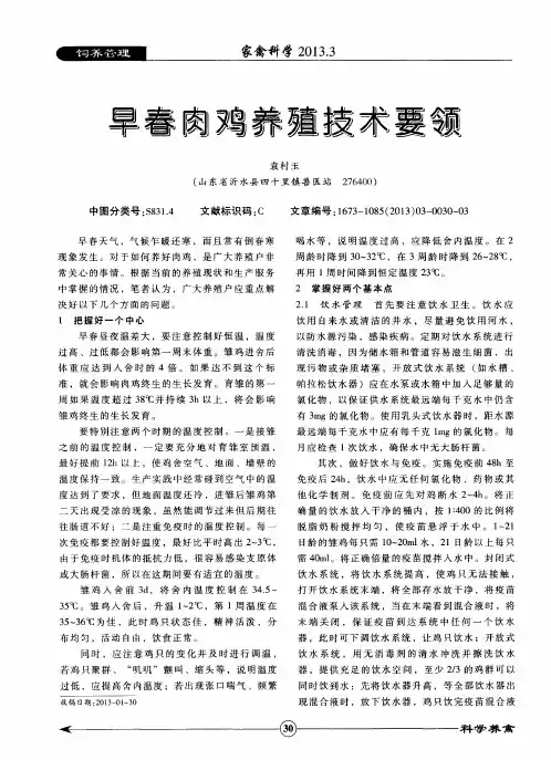 早春肉鸡养殖技术要领