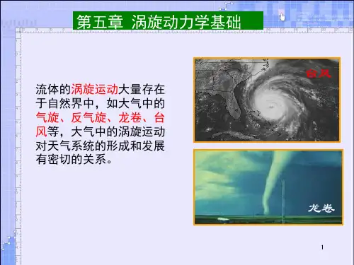 流体力学第五章(涡旋动力学基础)