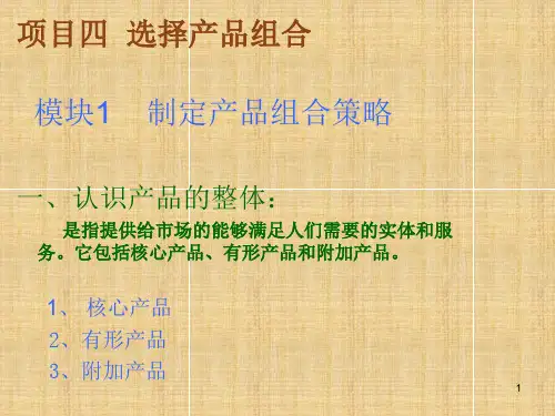 制定产品组合策略PPT课件