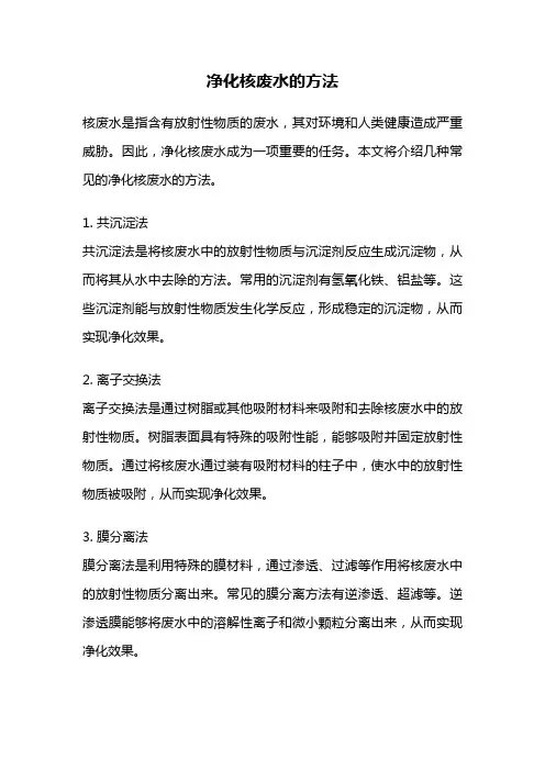 净化核废水的方法