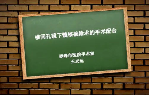 椎间孔镜手术配合PPT课件