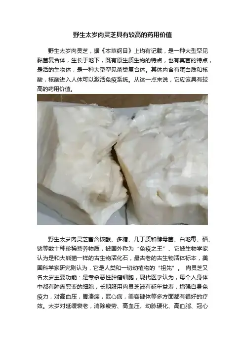 野生太岁肉灵芝具有较高的药用价值