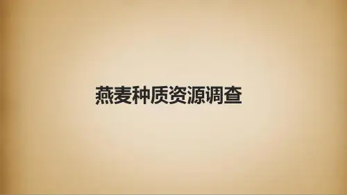 燕麦