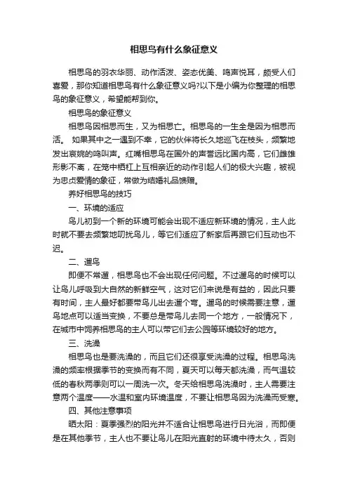 相思鸟有什么象征意义