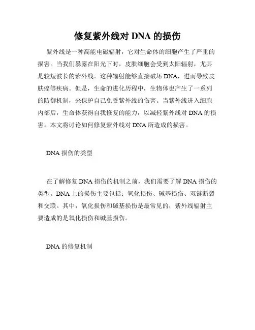 修复紫外线对DNA的损伤