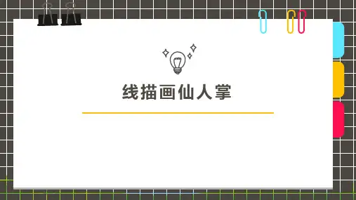 少儿8-10岁 线描 线描仙人掌—美术课件