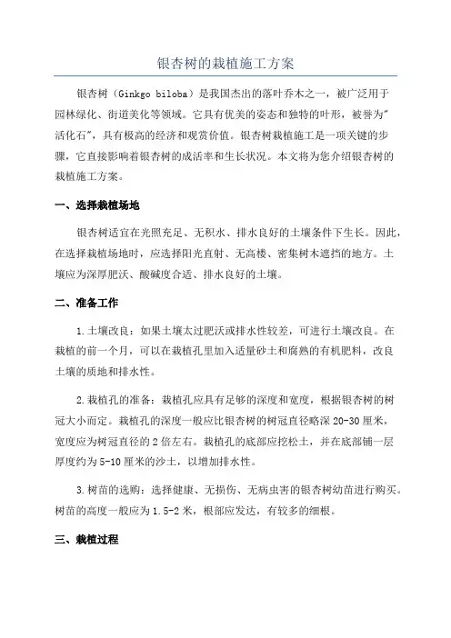 银杏树的栽植施工方案